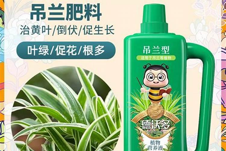 花多多10号怎么用