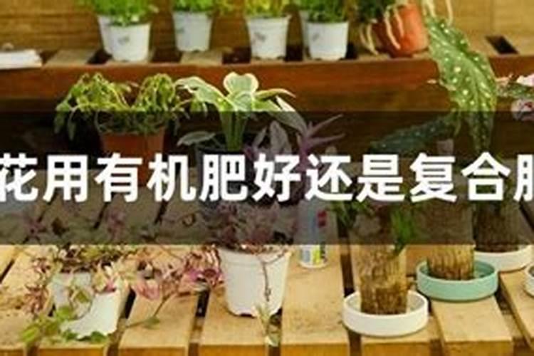 缺钾是什么原因引起的？