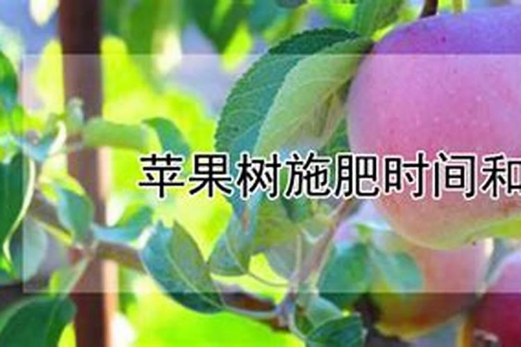 南瓜追肥用什么肥料好
