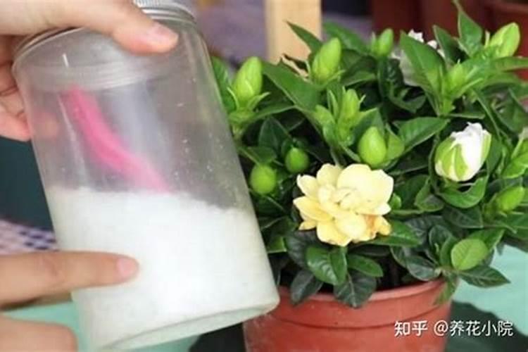 花用复合肥怎么用