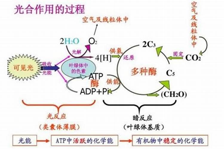 多种维生素有什么好的补充方法？