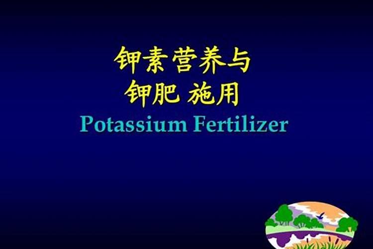 油茶树什么时候施肥