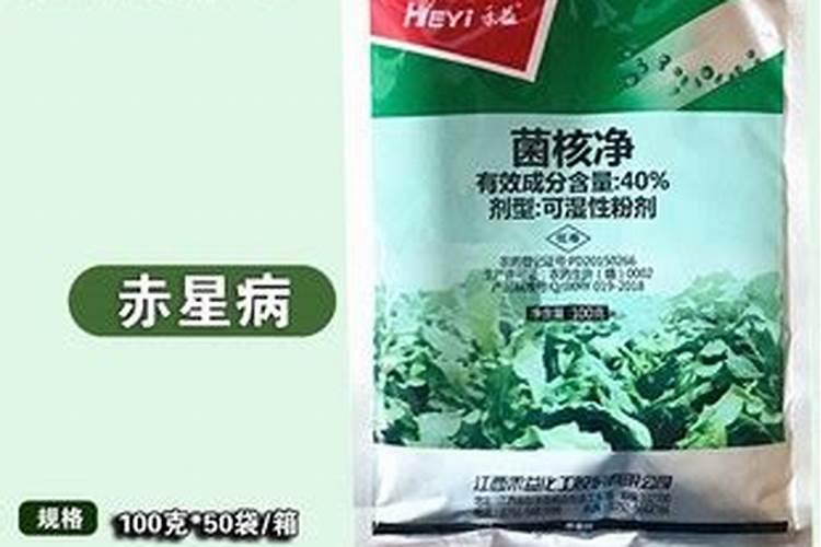 茼蒿菜菌核病发生怎么办？