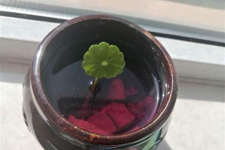 磷硅钙肥可以作秋肥施果树吗？