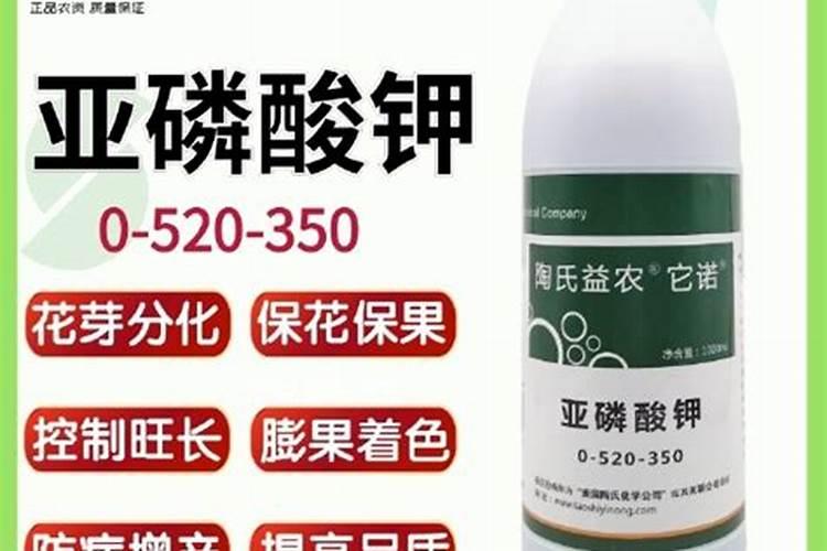 肥料:有机肥,复合肥和水溶肥有什么区别吗
