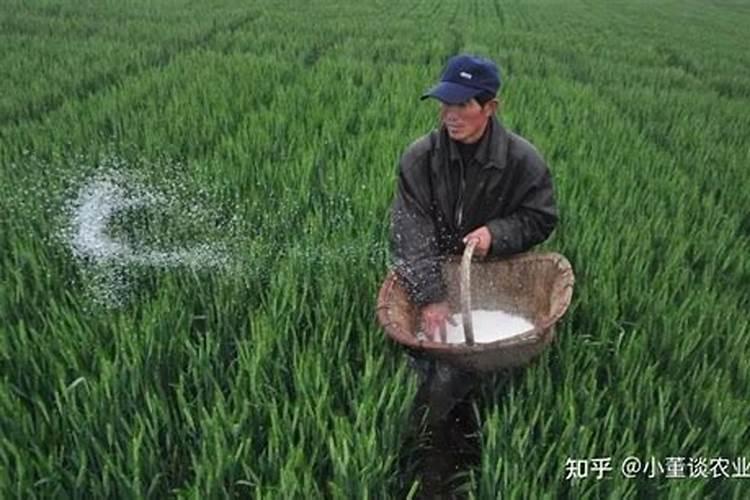 高氮高钾水溶肥什么时候使用？