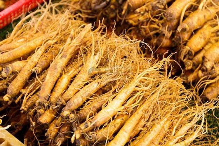 水溶肥什么品牌好？