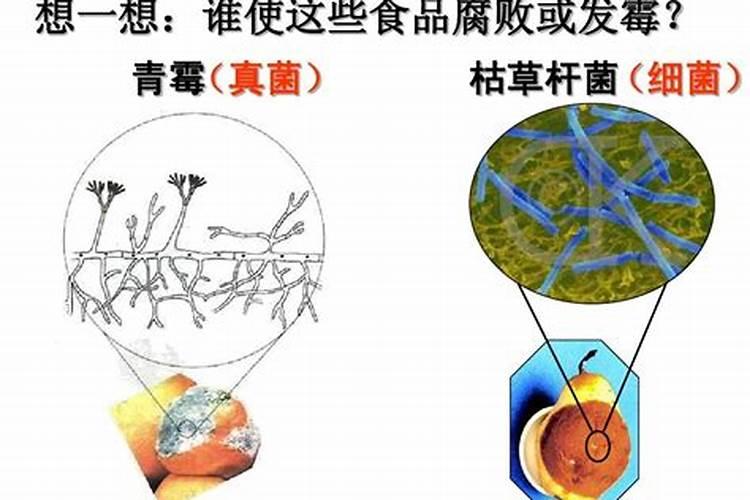 复合肥多久施一次