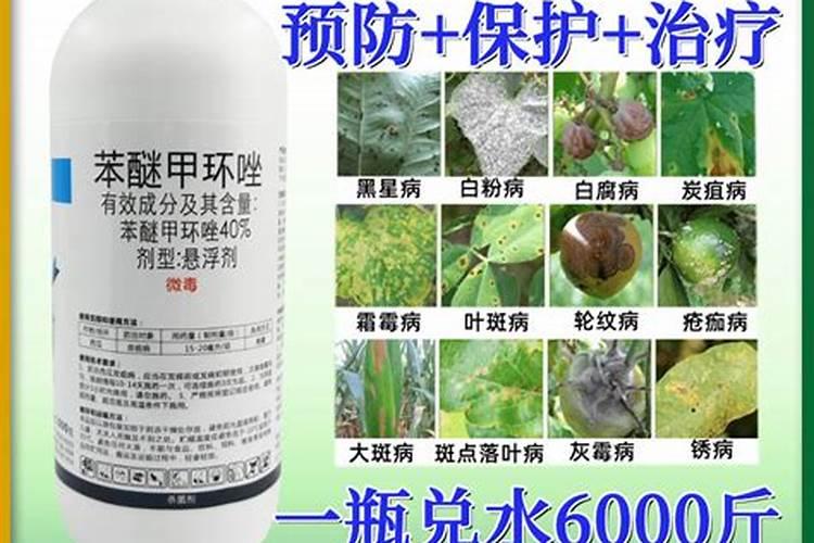 硼肥啥时施最佳
