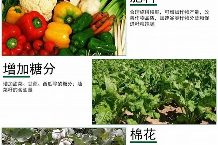 磷肥是什么肥料 磷肥是什么