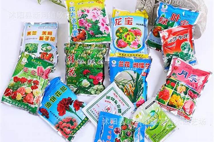 绿萝需要什么肥料,需要每天浇水吗