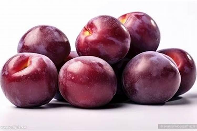 李子树根腐病用什么药灌根好？李子病害防控后如何管理促生根