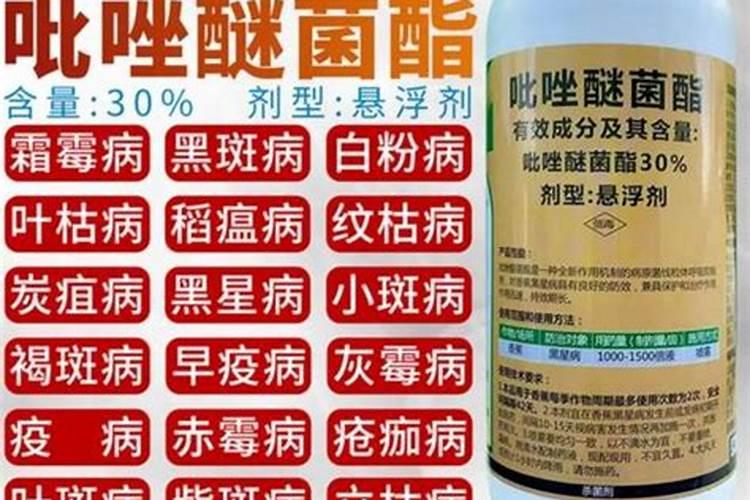 叶面肥磷酸二氢钾使用方法