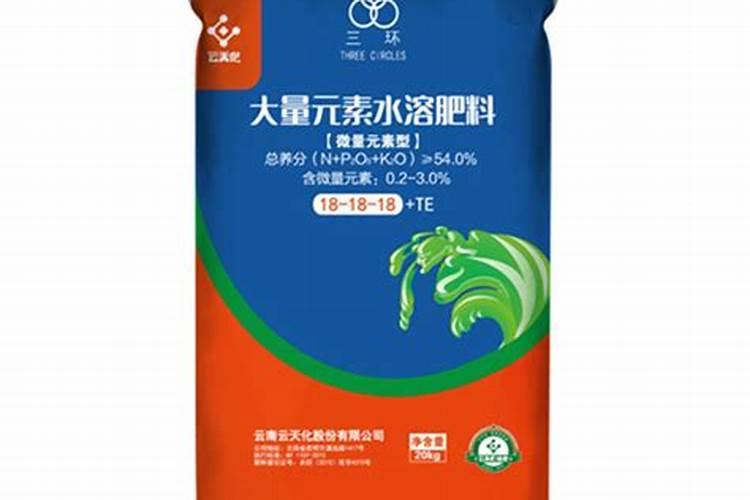 三角梅使用什么肥料爆长新根