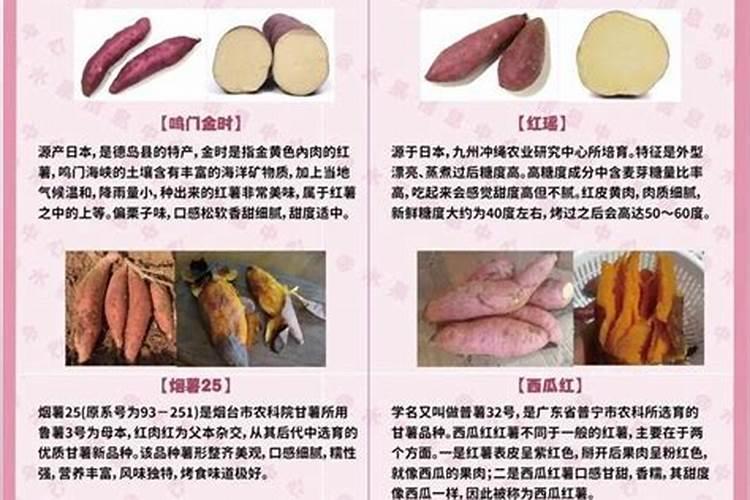 西葫芦叶子发黄怎么办