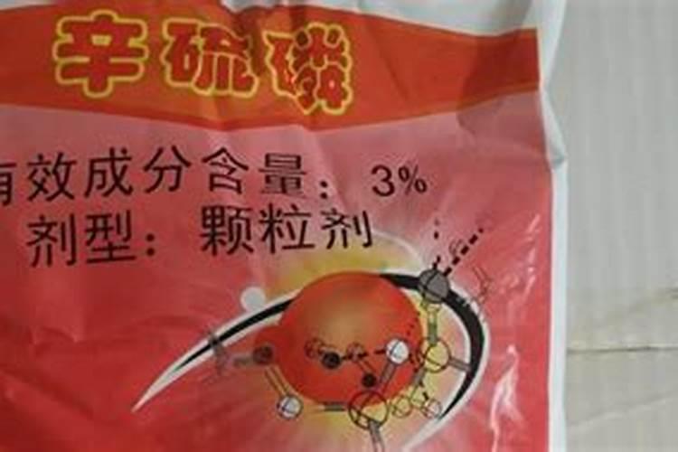 多肉乌木生长的最快方法