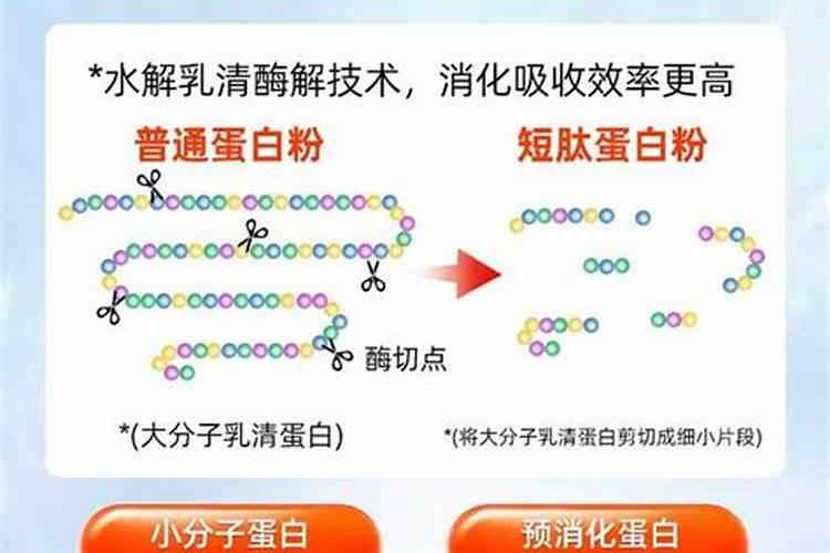 十大水溶肥品牌是哪些
