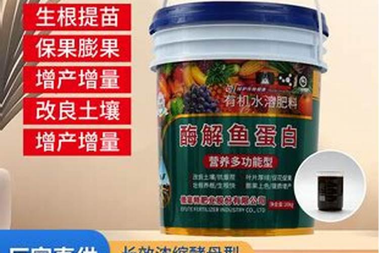 竹叶兰怎么浇水