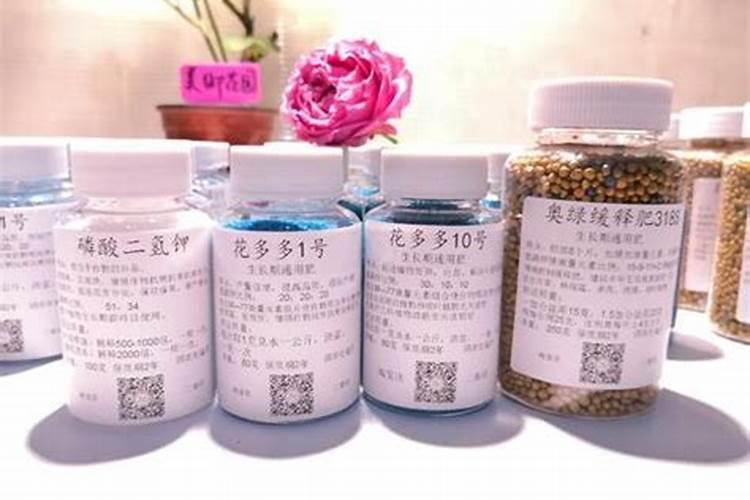 兰花喷什么叶面肥最好(兰花叶面肥喷施注意事项)
