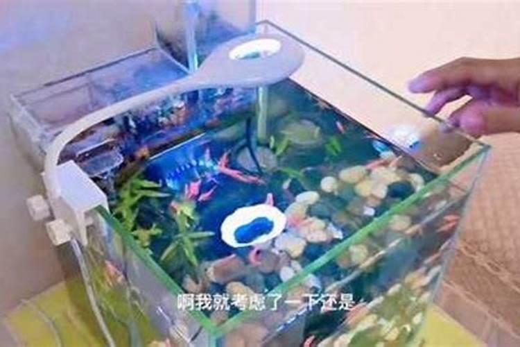 怎样把鱼蛋白从混合物里过滤出来