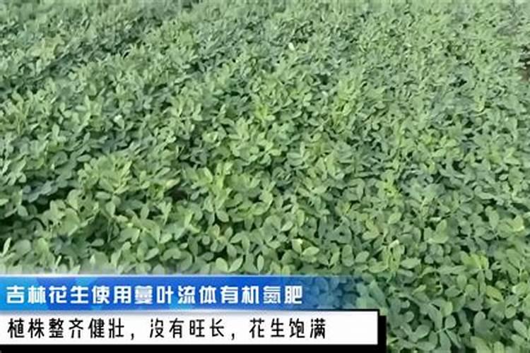 氮是怎么变成化肥的