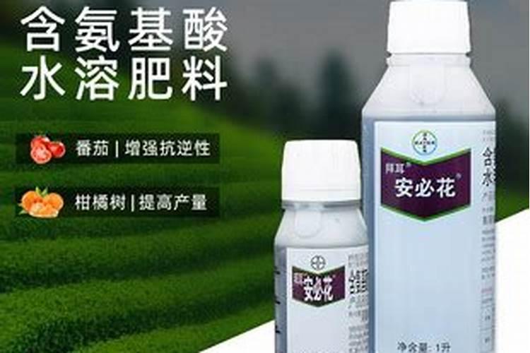 如何制作好喝的金桔柠檬汁