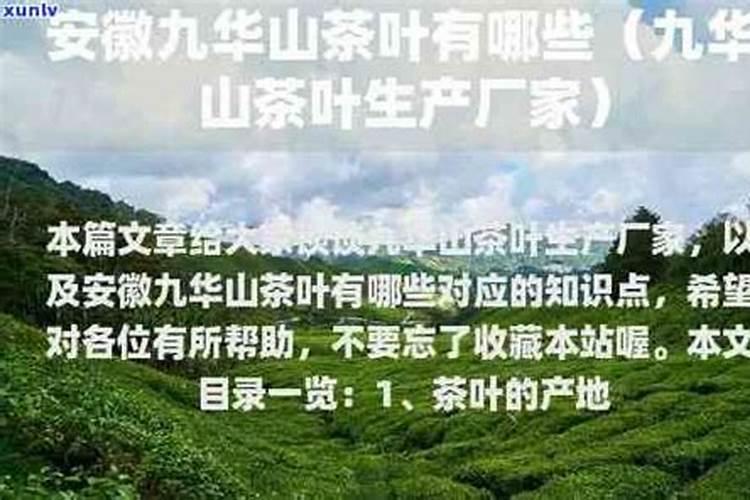 冬枣树怎么种植技术