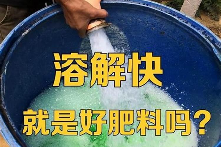 磷肥可以种什么菜