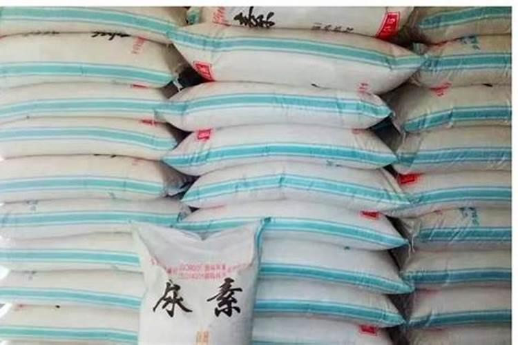 柑橘树的病虫害防治和管理