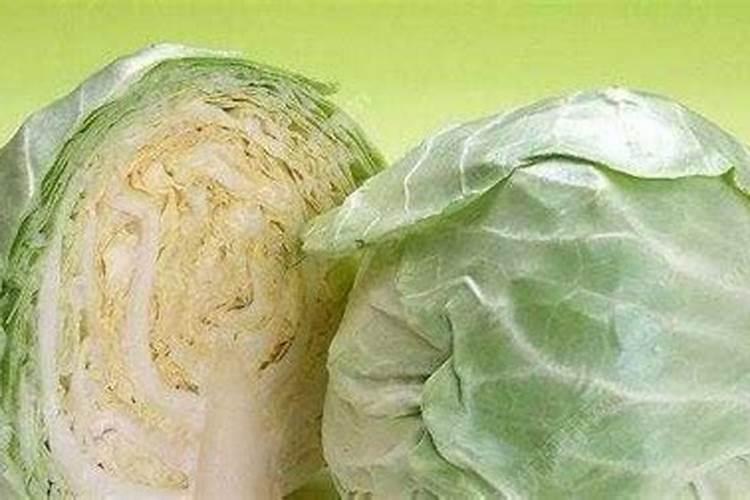 草木灰是什么烧成的