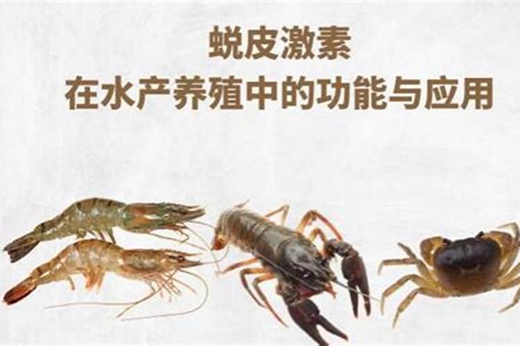 叶面肥配方技术大全