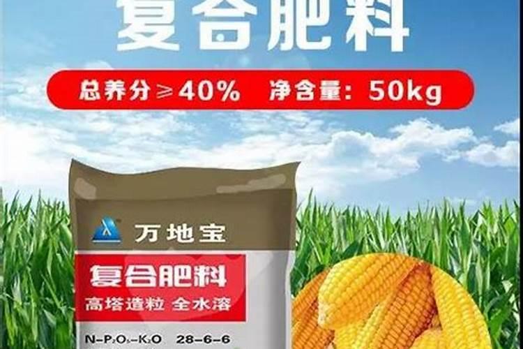 想知道槟榔芋种植的详细方法,以及生长的气候、温度、湿度、土壤等百度...