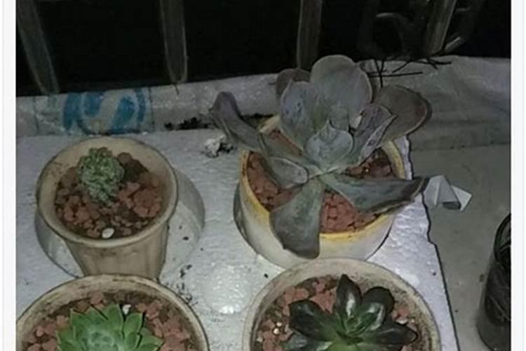 盐业股票有哪些