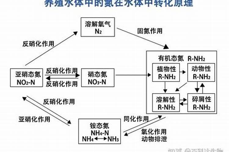 生命源是什么？