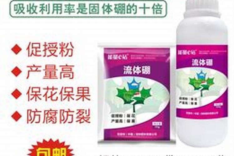月季浇什么肥料合适