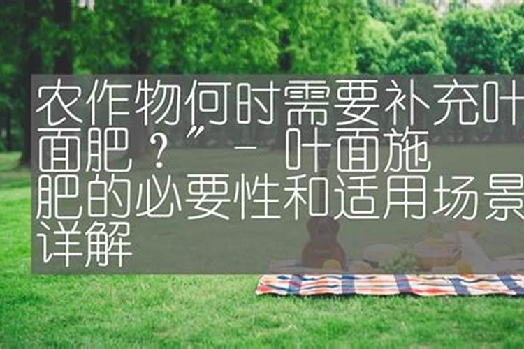 什么花肥开花最旺最香