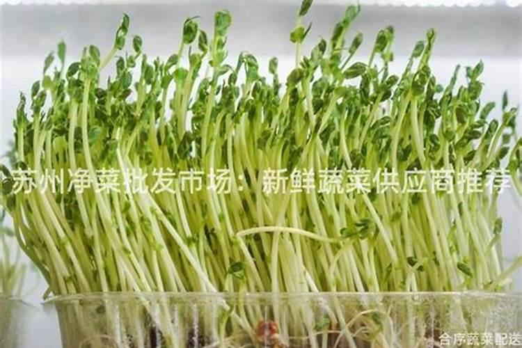 桃树什么时候用水溶肥最好