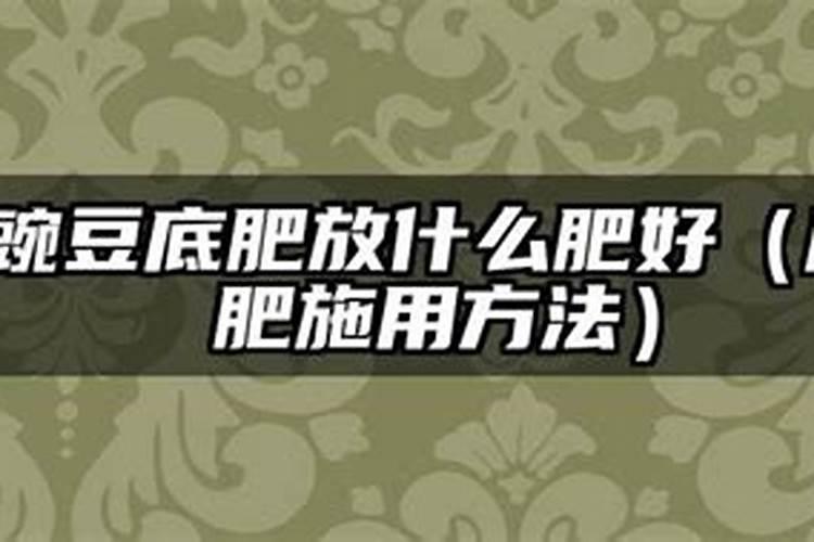 豌豆什么时候种植