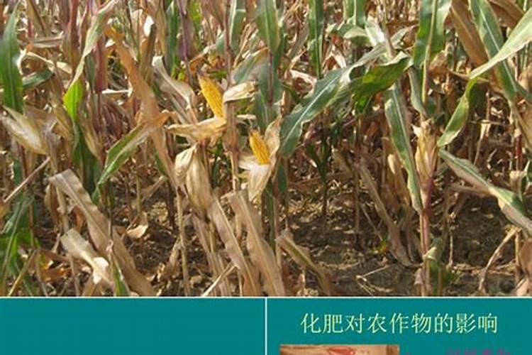 什么是农业面源污染？