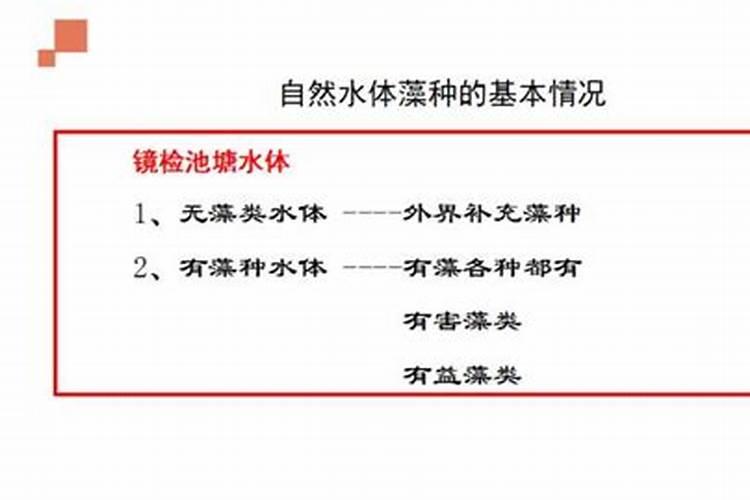 什么是肥水