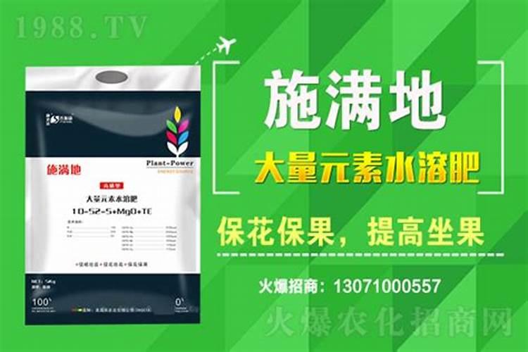 桃子快要成熟时,怎样让桃子更好地“上色”？