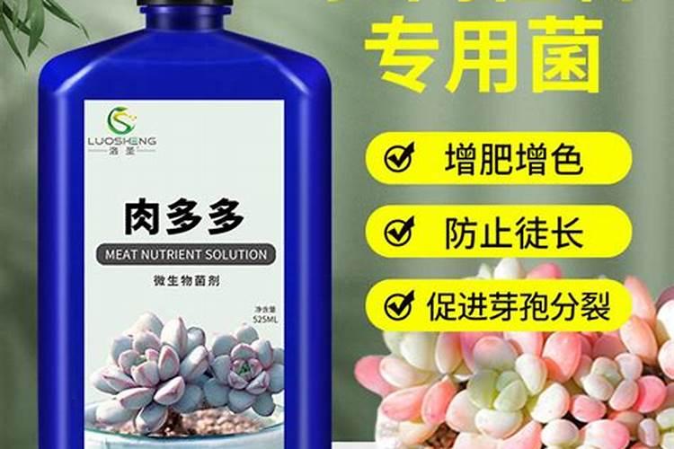三个17的硫酸钾可以在樱桃成熟前20天用吗