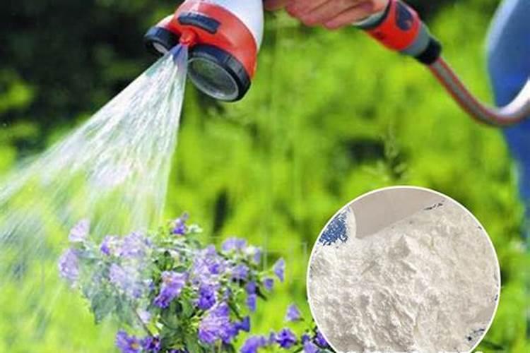 磷肥可以兑水浇花吗 磷肥对花卉的作用是什么