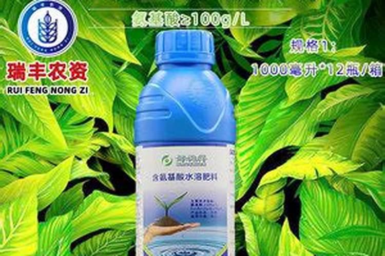 植物叶子发黄是什么原因