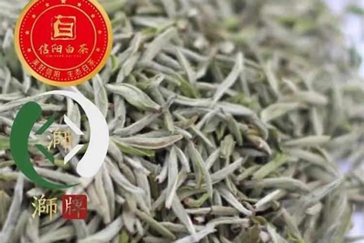 怎么能使高山白茶早发芽早采