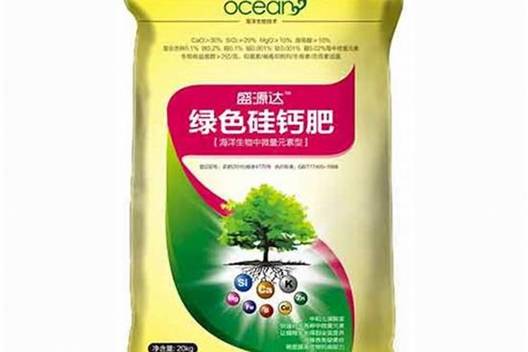鱼蛋白的作用和功效是什么？