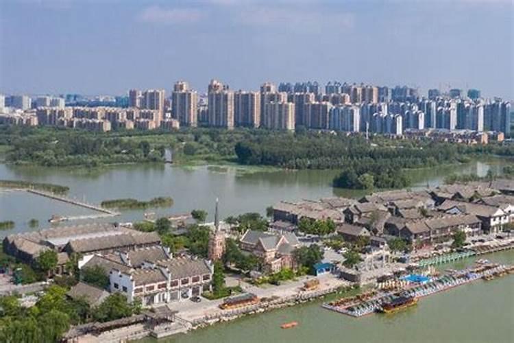 大木荷种籽多少钱一斤 怎么育苗