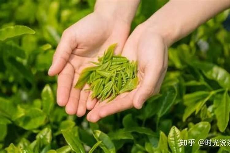 E离子硅钛肥是药还是激素？为何能加速成长,提早收成？