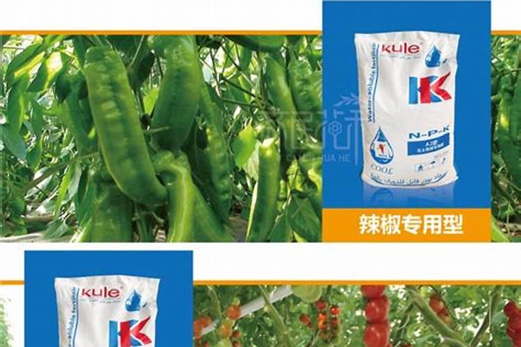 什么是无土栽培的水溶肥？它和其他水溶肥有哪些区别？