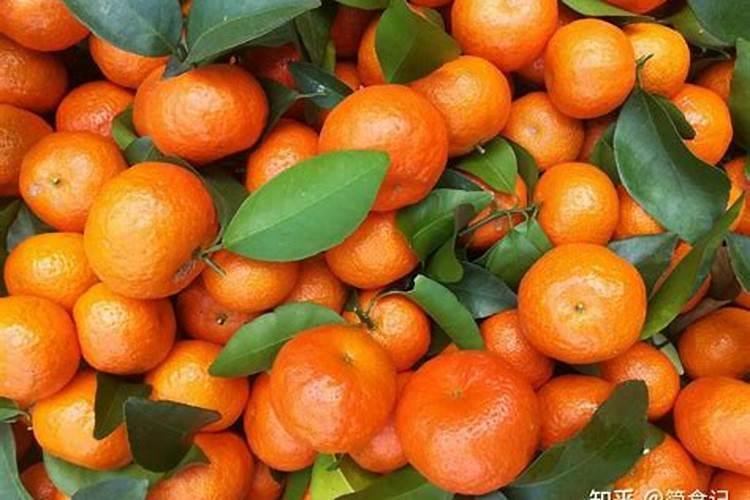 砂糖橘如何施肥 分享种植砂糖橘施肥技术经验